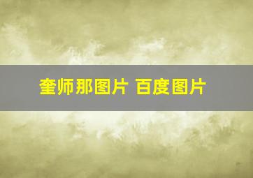 奎师那图片 百度图片